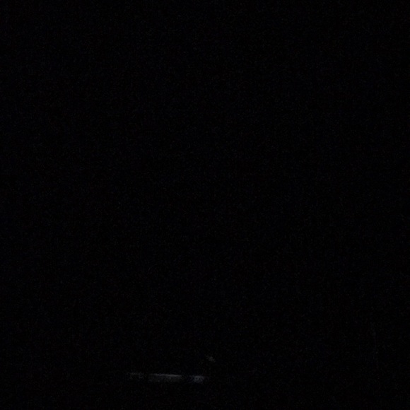 Meet your Posher, Wilber - Picture 1 of 1